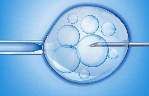 试管二次移植冻胚流程-体外移植后如何做才能使胚胎更容易植入？体外移植后胚胎植入的迹象有哪些？(图2)