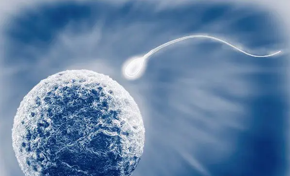 保定助孕宝宝选性别-移植优质胚胎的优势，胚胎的质量对胎儿有很