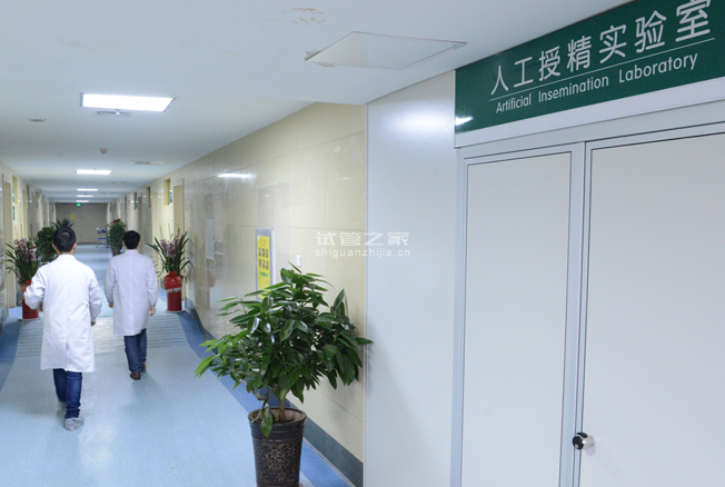 芜湖助孕电话：荆门市第二人民医院试管婴儿网上预约--绿色通道不用排队。(图4)